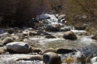 El río.