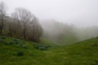 En medio de la niebla