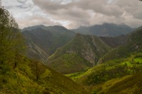 Picos en un día nublado.