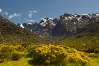 Las últimas vistas.