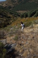 Miriam bajando hacia Siete Arroyos,