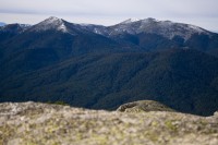 Vistas de picos Nevados (Montón de Trigo y Pinareja)